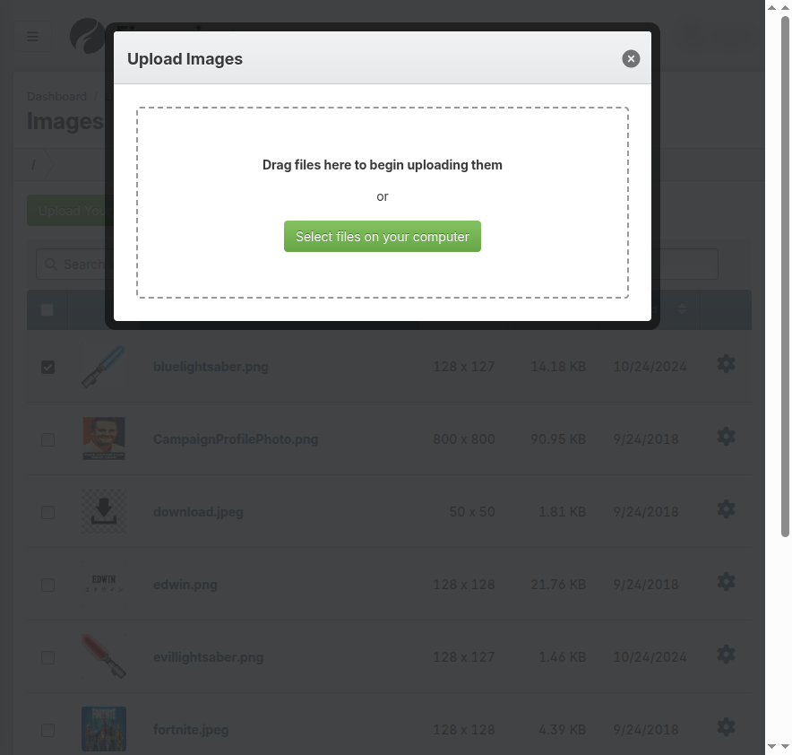 Screenshot: File selection window