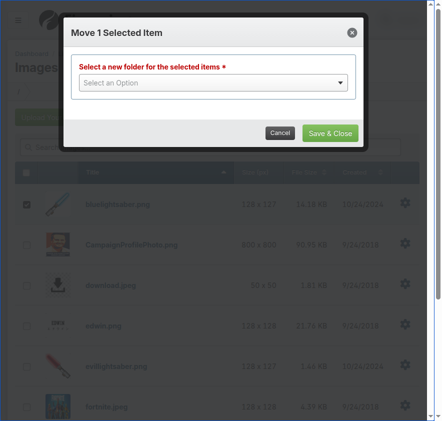 Screenshot: Folder selection window