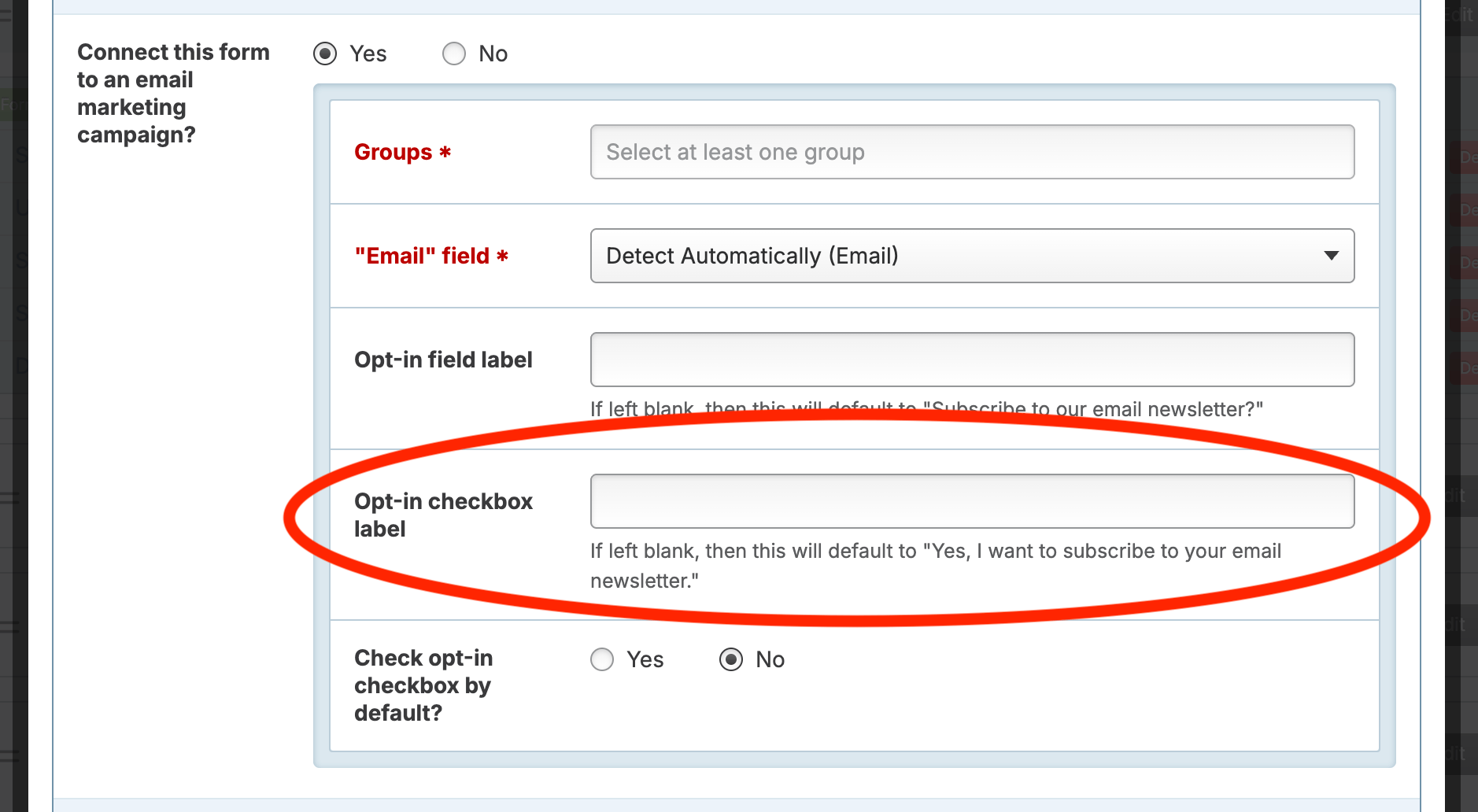 Screenshot: Opt-in checkbox label text box